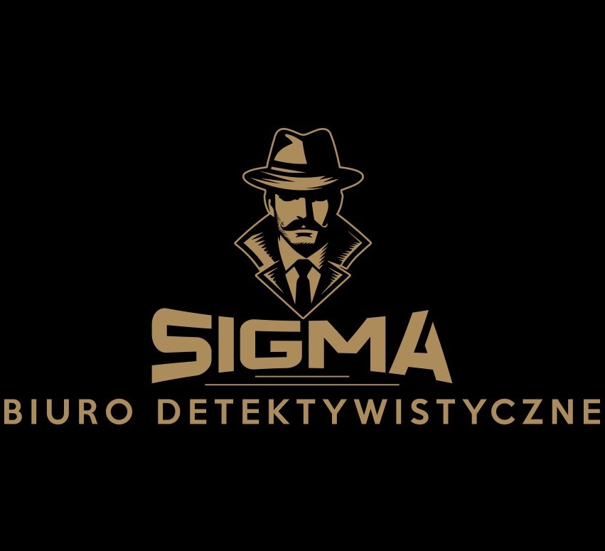 Prywatny detektyw sigma, usługi detektywistyczne