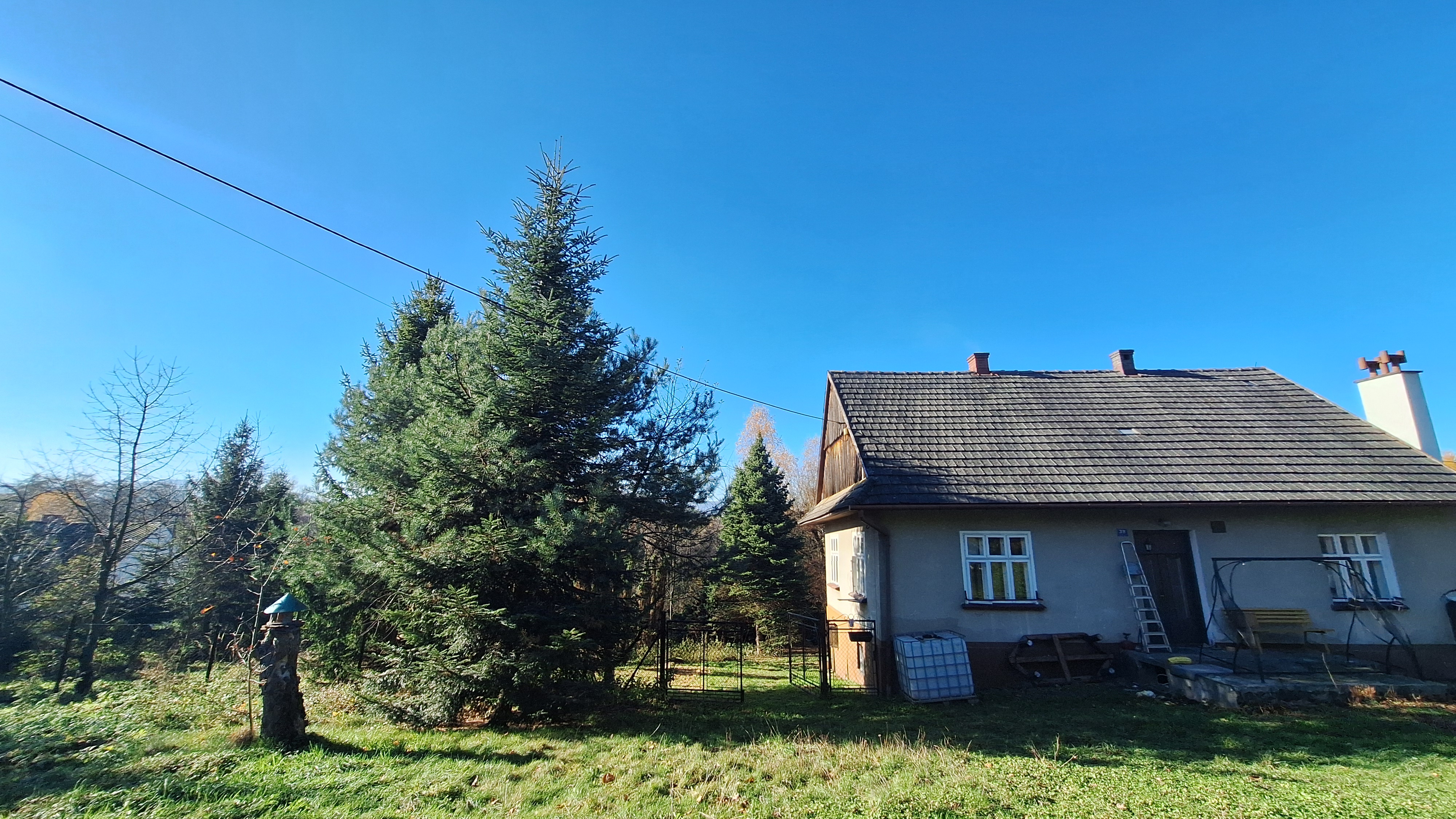 Dla miłośników natury 1,26 ha z domem