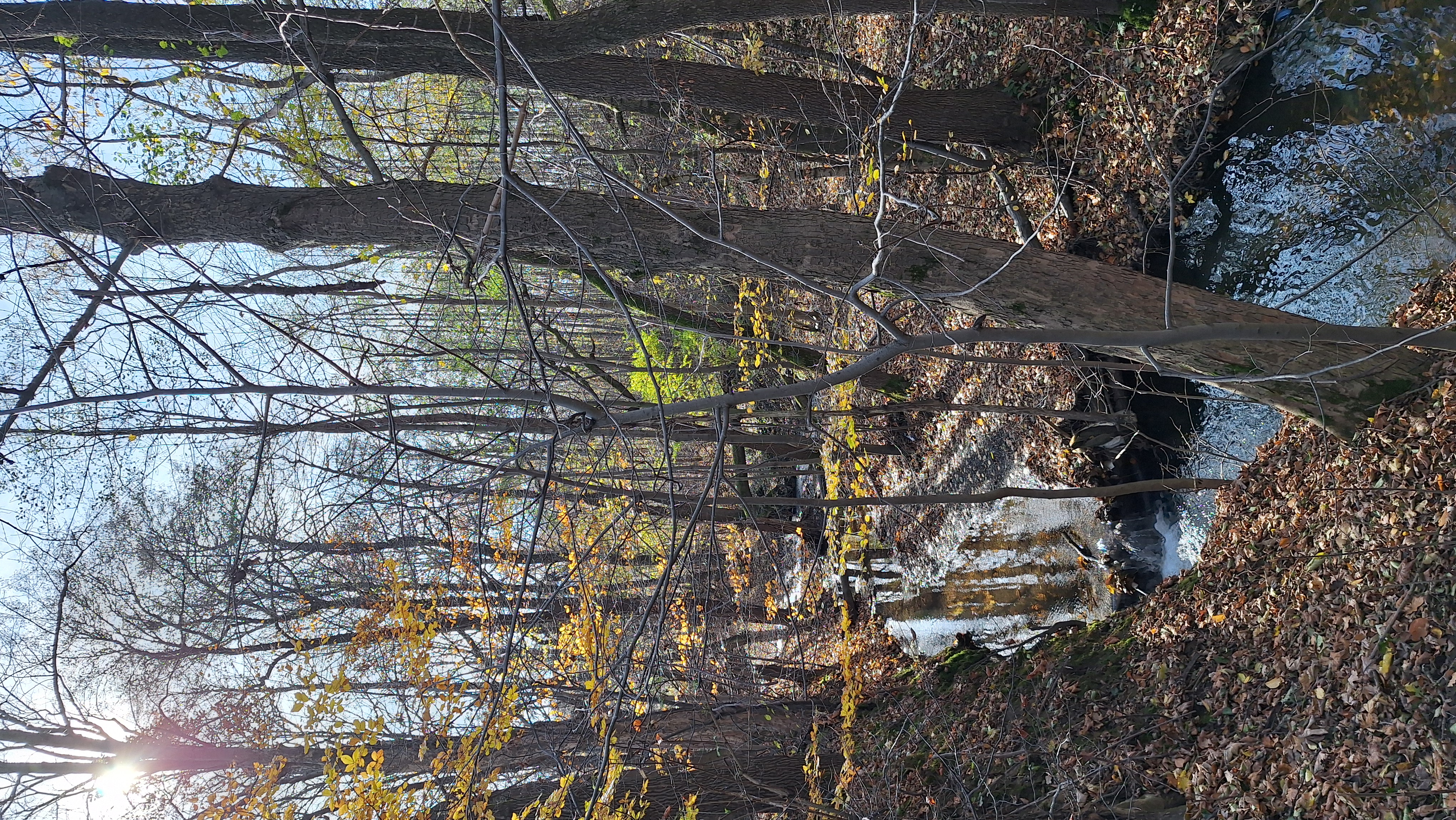 Dla miłośników natury 1,26 ha z domem