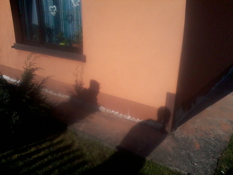 Izolacje i osuszanie budynków - piwnice, fundamenty | Śląsk, Małopolska